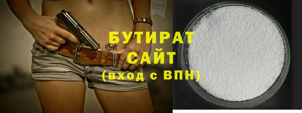 индика Гусиноозёрск