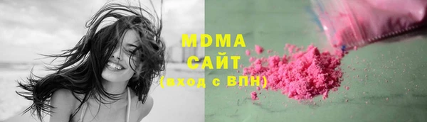индика Гусиноозёрск