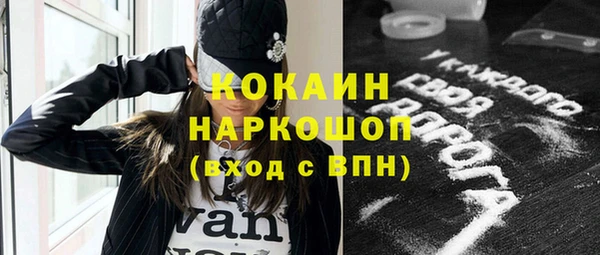 индика Гусиноозёрск
