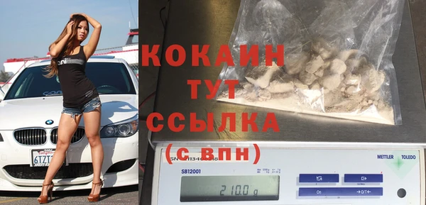 индика Гусиноозёрск