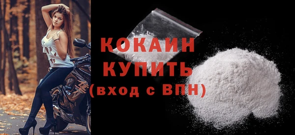 индика Гусиноозёрск