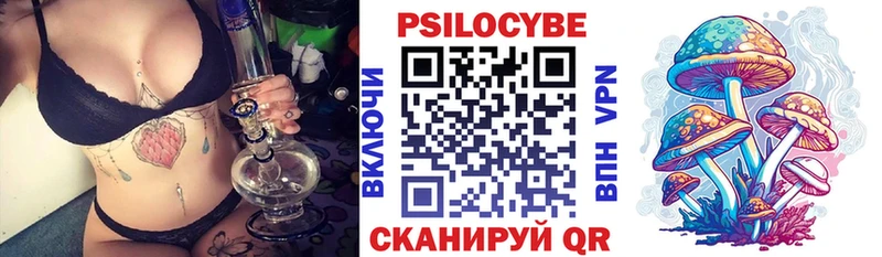 Купить  Туапсе  Галлюциногенные грибы Psilocybe 